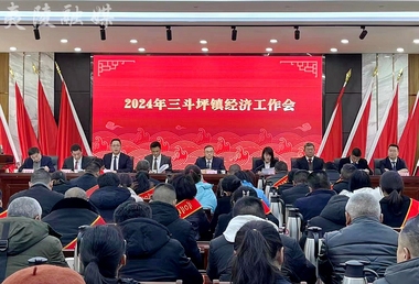 三斗坪镇召开2024年经济工作会议