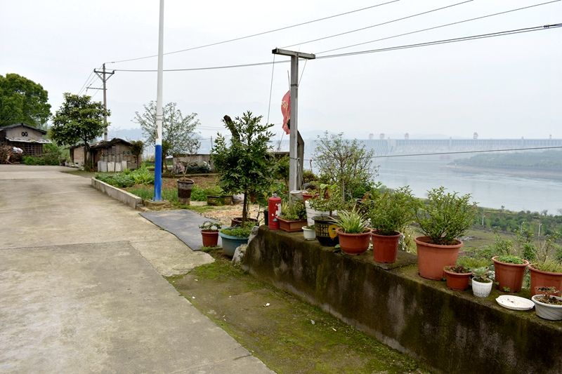 高家冲村_青枫客栈周边环境_晒家乡_宜昌市夷陵区三斗坪镇高家冲村