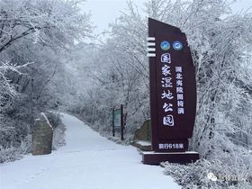 美！宜昌西塞国雪景如画， 仙气十足！