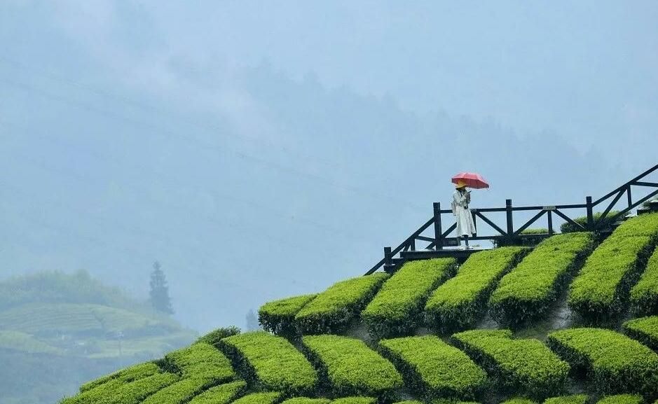 三峡茶旅小镇