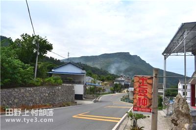 闫峰云蔬菜种植基地