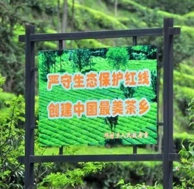 湖北宜昌：“中国名茶之乡”邓村自营出口茶叶成功发车