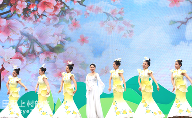 免门票！！！三峡龙泉湖第五届桃花艺术节向你发起邀请