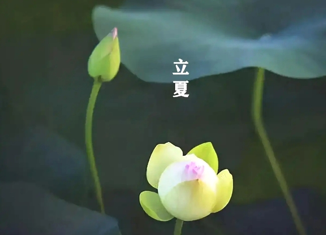 cJ6Dzz6HwT9DnFby.png