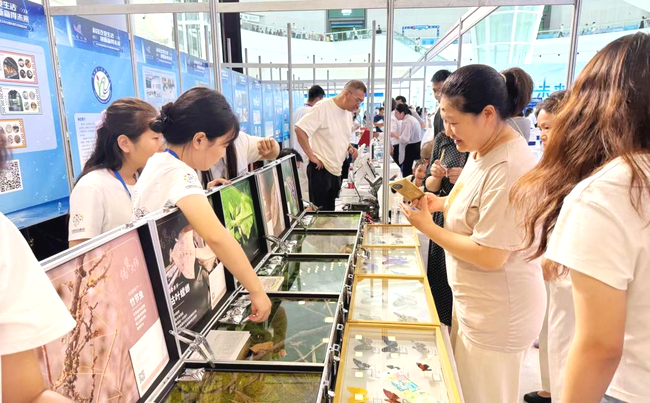 2yGR17sjrd85KhzG.png 2yGR17sjrd85KhzG.png