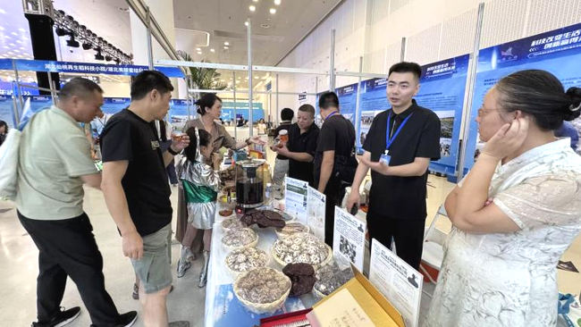 9cWzb26R3H4MMWZp.png 9cWzb26R3H4MMWZp.png