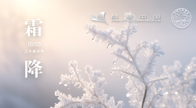 3S8NznxA8cMjZPh1.png 3S8NznxA8cMjZPh1.png