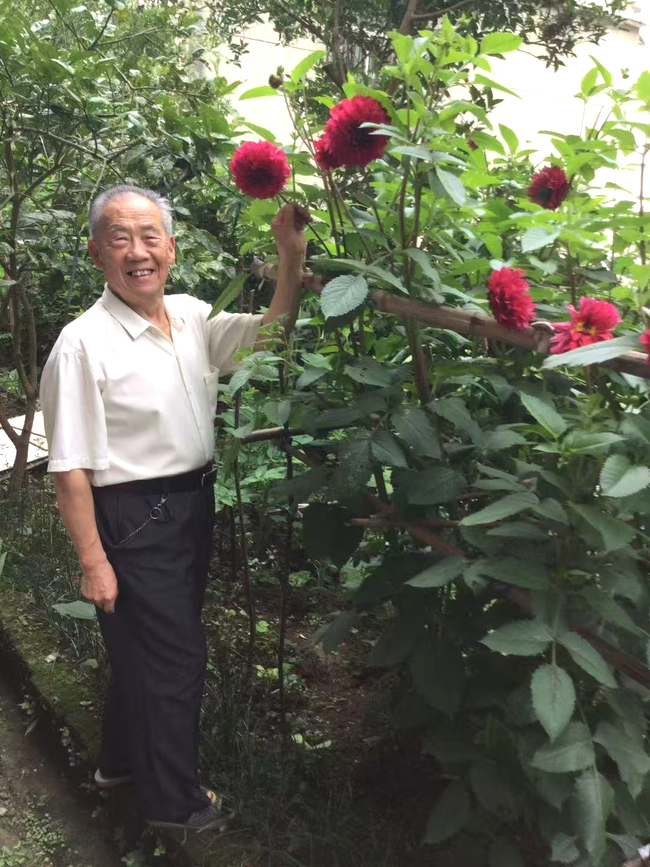 3w48ChWCZCcMsxsD.png 3w48ChWCZCcMsxsD.png