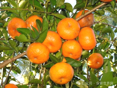 EXG2CJEmtPjYDFFc.png EXG2CJEmtPjYDFFc.png