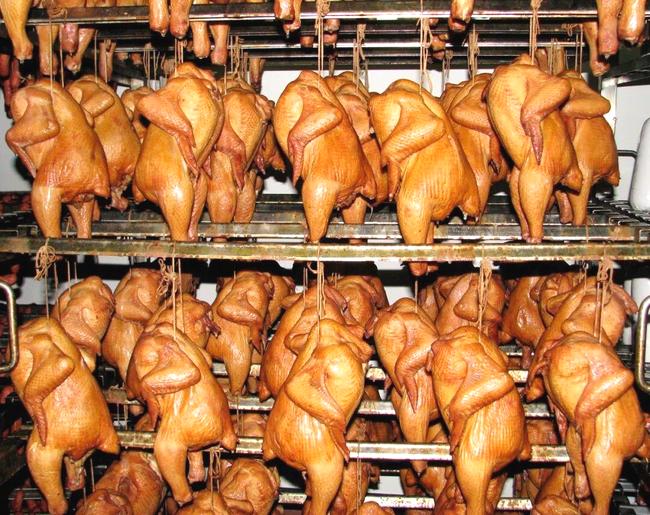 Fh1tzKdX9B8DhdrS.jpeg Fh1tzKdX9B8DhdrS.jpeg