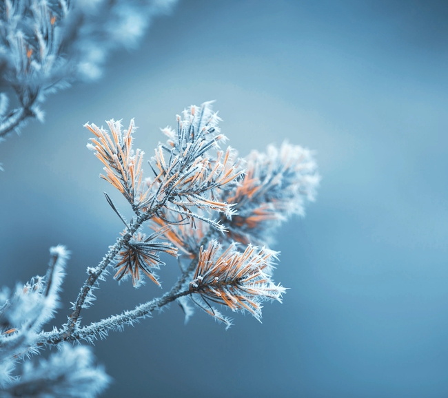 KpKAeFDMcJha5mM8.jpg KpKAeFDMcJha5mM8.jpg