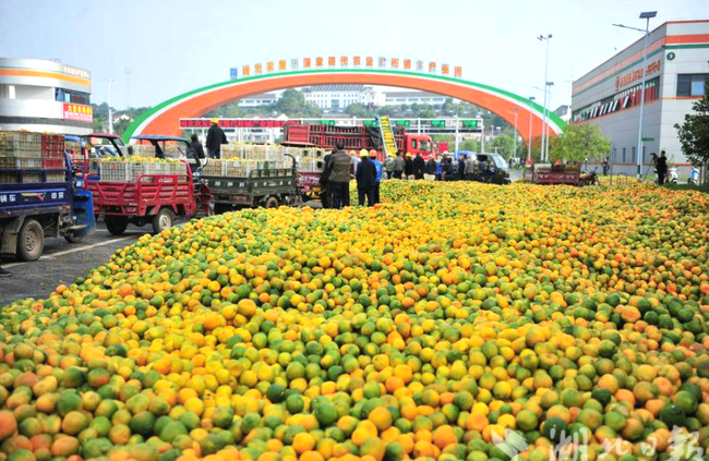 NdkJ942YD2rwaysX.png NdkJ942YD2rwaysX.png