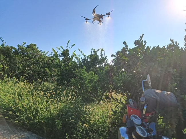 Q2Sd3tfE3G9Xmfra.jpg Q2Sd3tfE3G9Xmfra.jpg