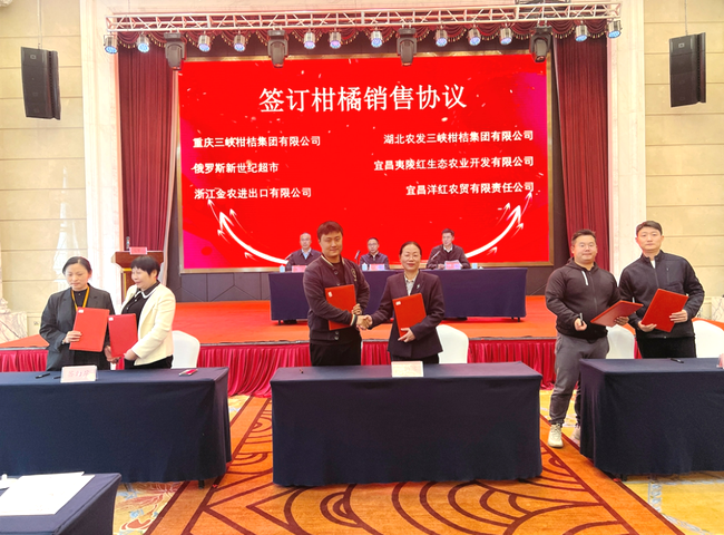 RtjHQPHbXWASiS1A.png RtjHQPHbXWASiS1A.png