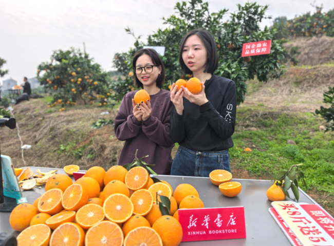 WYJihZ6Cb214kSQ2.png WYJihZ6Cb214kSQ2.png