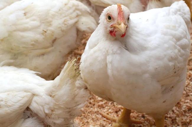 hiRRxrMJMnNb95cG.jpeg hiRRxrMJMnNb95cG.jpeg