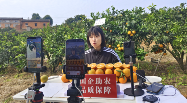 xr8BYsznEk33b3m1.png xr8BYsznEk33b3m1.png