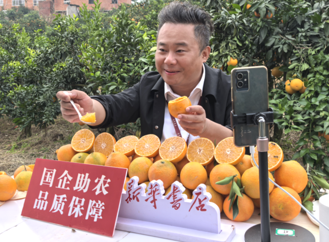 yWkmW7Pw3mkRSits.png yWkmW7Pw3mkRSits.png