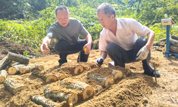 5886sR6z1Yh8yYez.png 5886sR6z1Yh8yYez.png