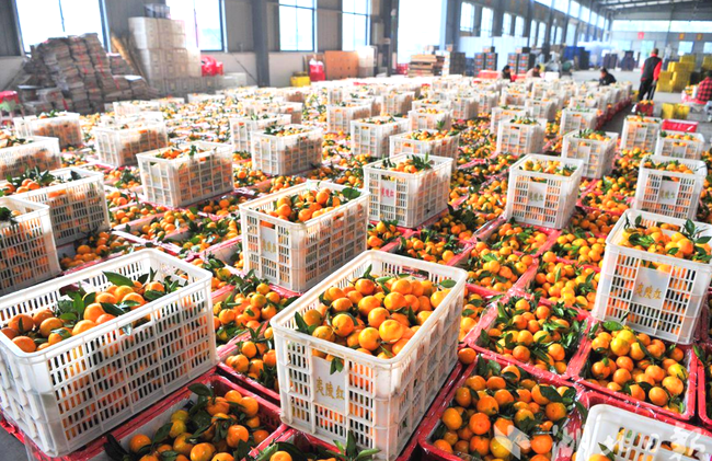 7w2TXeQBJr1WZswC.png 7w2TXeQBJr1WZswC.png