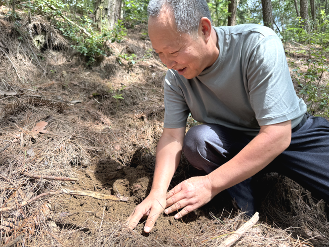 8WScPXGCeEXDAxw7.png 8WScPXGCeEXDAxw7.png