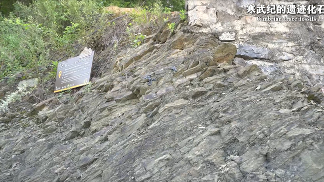 WPsRx3X2W3cFMh6w.png WPsRx3X2W3cFMh6w.png