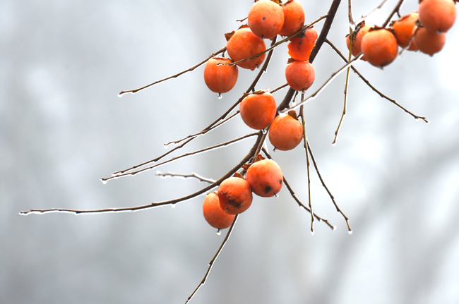 cdBmKHsDCBMp7Zm6.png cdBmKHsDCBMp7Zm6.png