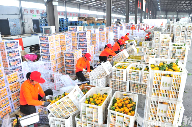 da5dWmGXHak6ezjd.png da5dWmGXHak6ezjd.png