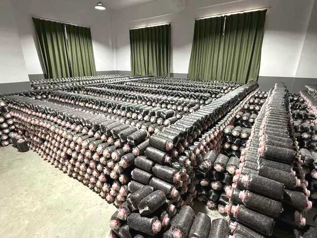 eCFFP46AFmxyKkpm.jpg eCFFP46AFmxyKkpm.jpg