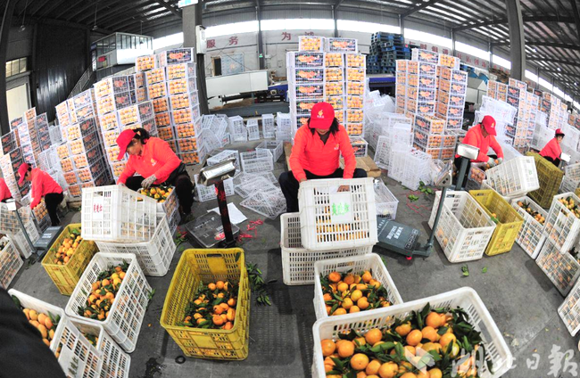 f1FPTsNdjm94BnM6.png f1FPTsNdjm94BnM6.png