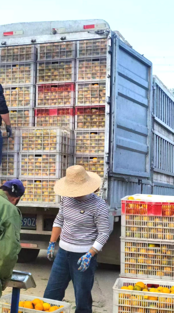 n6nANdjChEFCQzaW.png n6nANdjChEFCQzaW.png