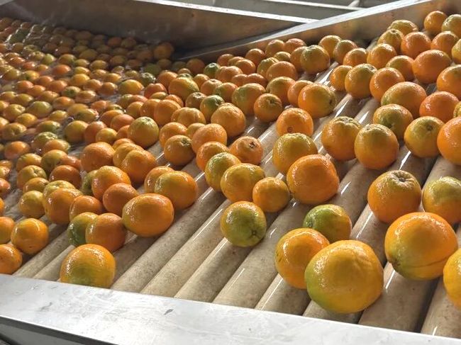 rnMpJNnbjPQmDZTr.jpg rnMpJNnbjPQmDZTr.jpg