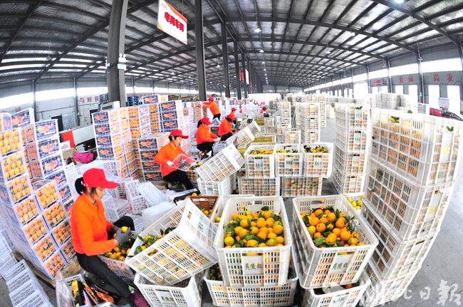 siAk71N2EGF78pEi.png siAk71N2EGF78pEi.png