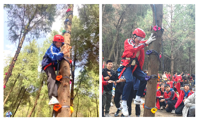 xrik9j4G4JsJrpBK.png xrik9j4G4JsJrpBK.png