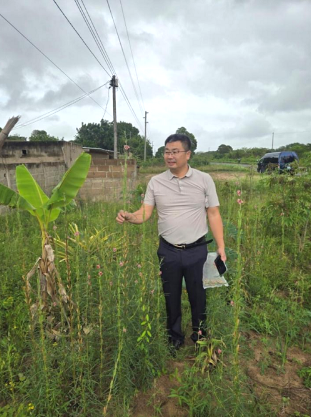 JwFZhM6De5cPMHrw.png JwFZhM6De5cPMHrw.png