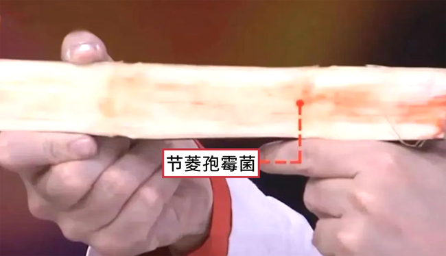 wNNzMdD72RzDeN2S.png wNNzMdD72RzDeN2S.png