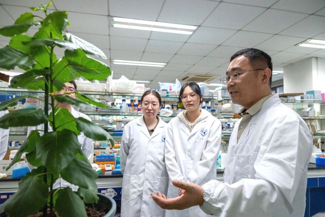 1ytNNExrzwJw3Ty7.jpg 1ytNNExrzwJw3Ty7.jpg