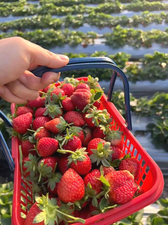 3ZpYtCnpRW7pM7GN.png 3ZpYtCnpRW7pM7GN.png