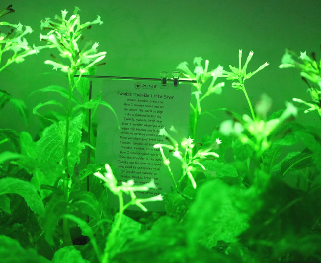 6tTZnJy5zSHWMPaB.png 6tTZnJy5zSHWMPaB.png