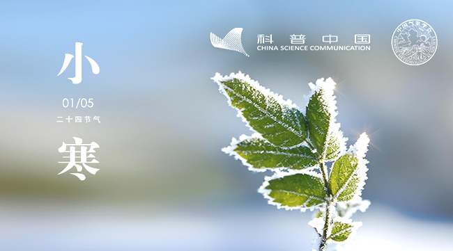 9fWPB29rtkd6KNXS.png 9fWPB29rtkd6KNXS.png