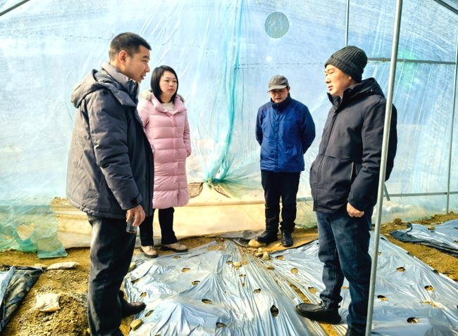 JBZtAXHixSSQH1Q4.png JBZtAXHixSSQH1Q4.png