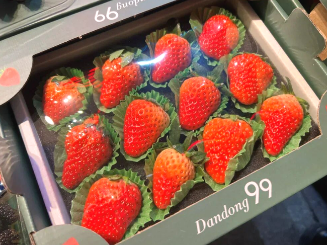 TzZfHpKGjCxmyd2W.png TzZfHpKGjCxmyd2W.png