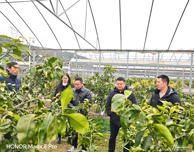 d7pJPk4ZX94Rx2wj.png d7pJPk4ZX94Rx2wj.png