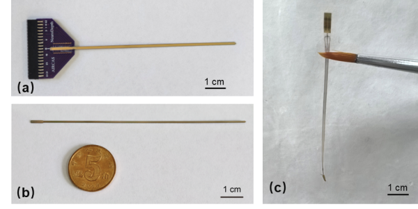 tPG8M3Pc3eydhzrZ.png tPG8M3Pc3eydhzrZ.png