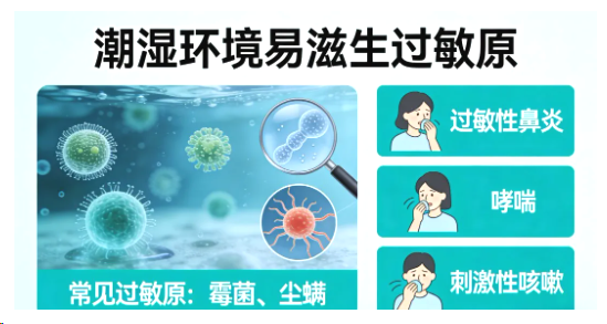 DYMZHbcm6NHCBebd.png DYMZHbcm6NHCBebd.png