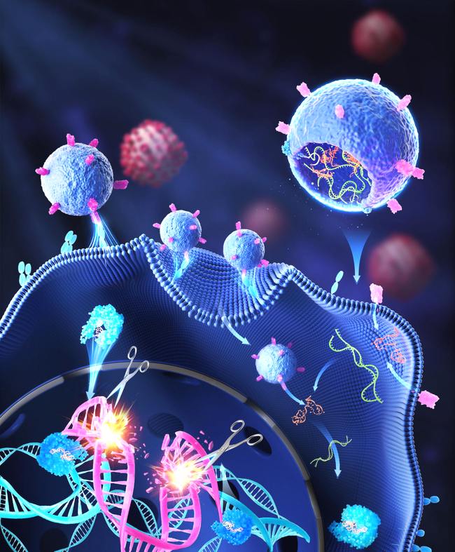 MBxZPsAAFn2kBmDC.jpg MBxZPsAAFn2kBmDC.jpg