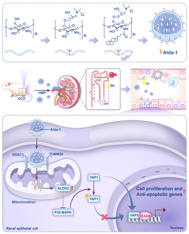 XMA4nhpb23bpYPXF.png XMA4nhpb23bpYPXF.png