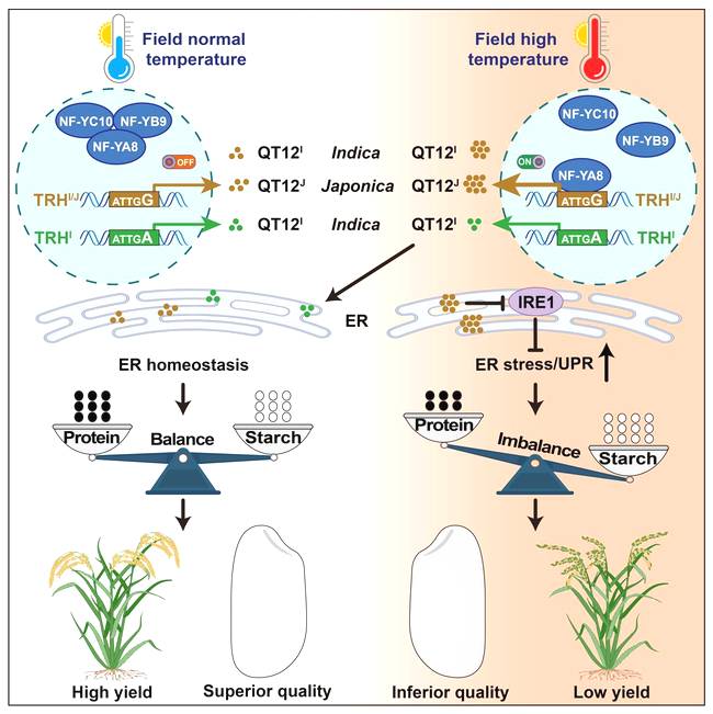 bRhDKYwcEbaxp9Cb.jpg bRhDKYwcEbaxp9Cb.jpg