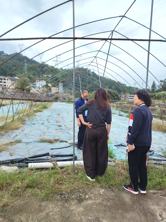 pXNshTGMEwK5z8C5.png pXNshTGMEwK5z8C5.png