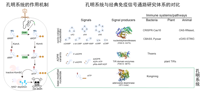 tADiTrrXGBkED5Rh.png tADiTrrXGBkED5Rh.png